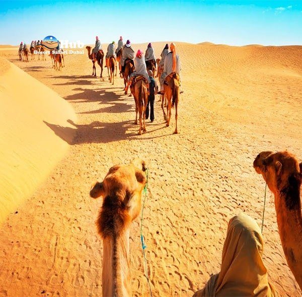 Camel ride with desert safari dubai-min