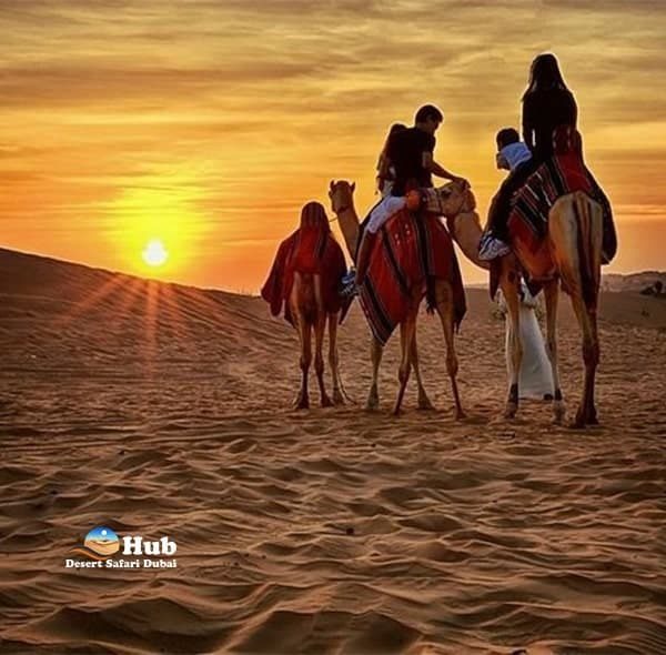 camel ride with private desert safari-min