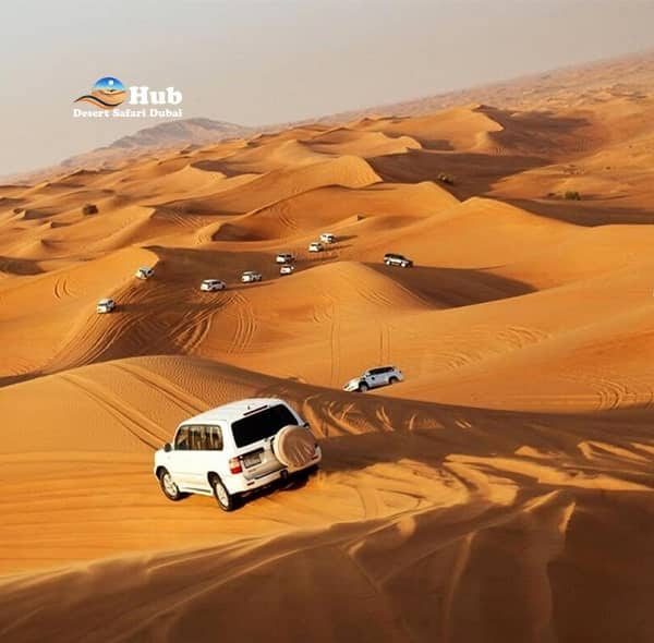 desert safari-min